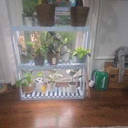 Wooden Hand Crafted Plant Stand