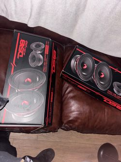 DS-18 door speakers