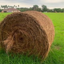 Round Hay Bales