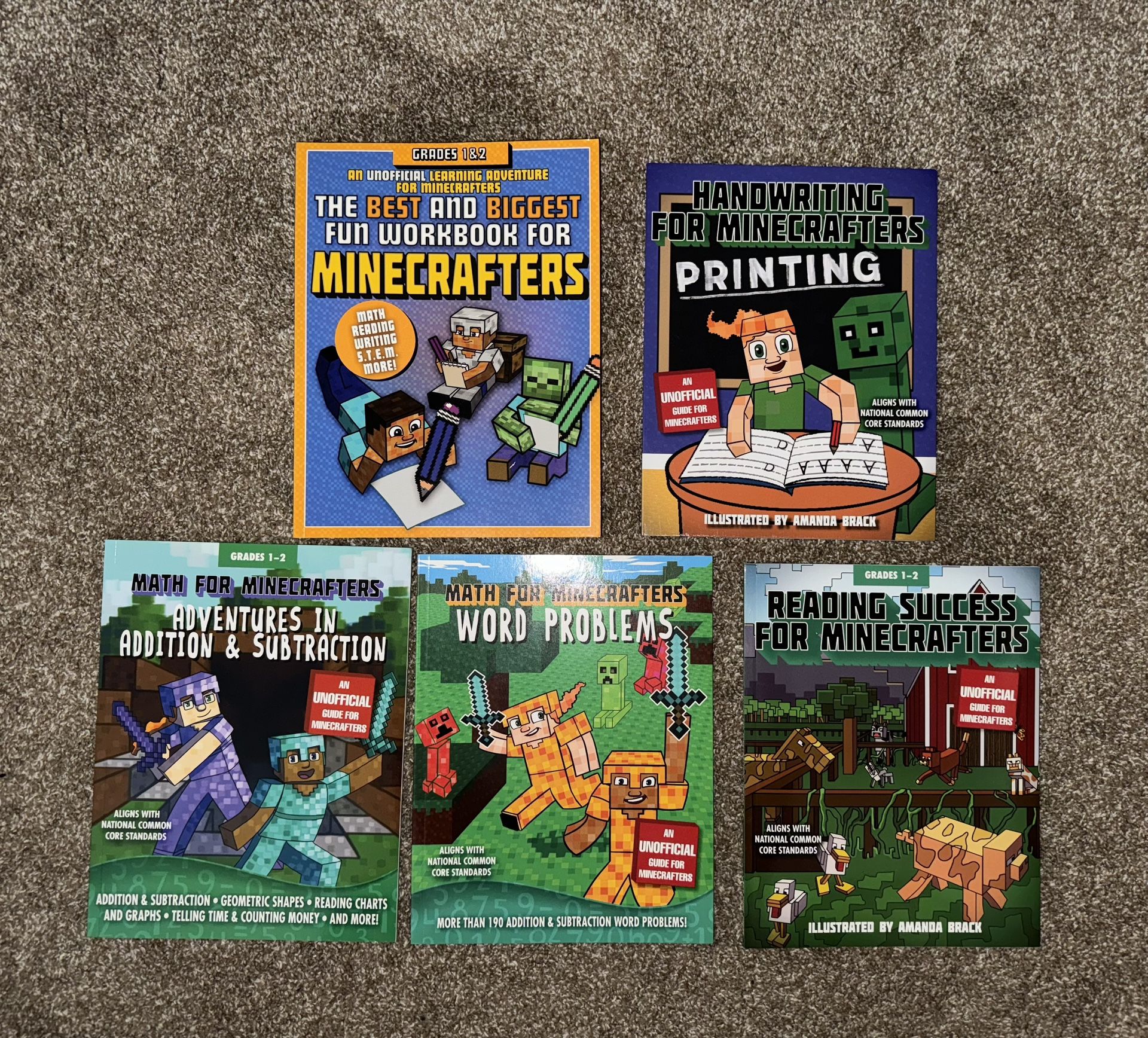 Minecrafters Workbooks (1st/2nd grade-math/reading/writing)
