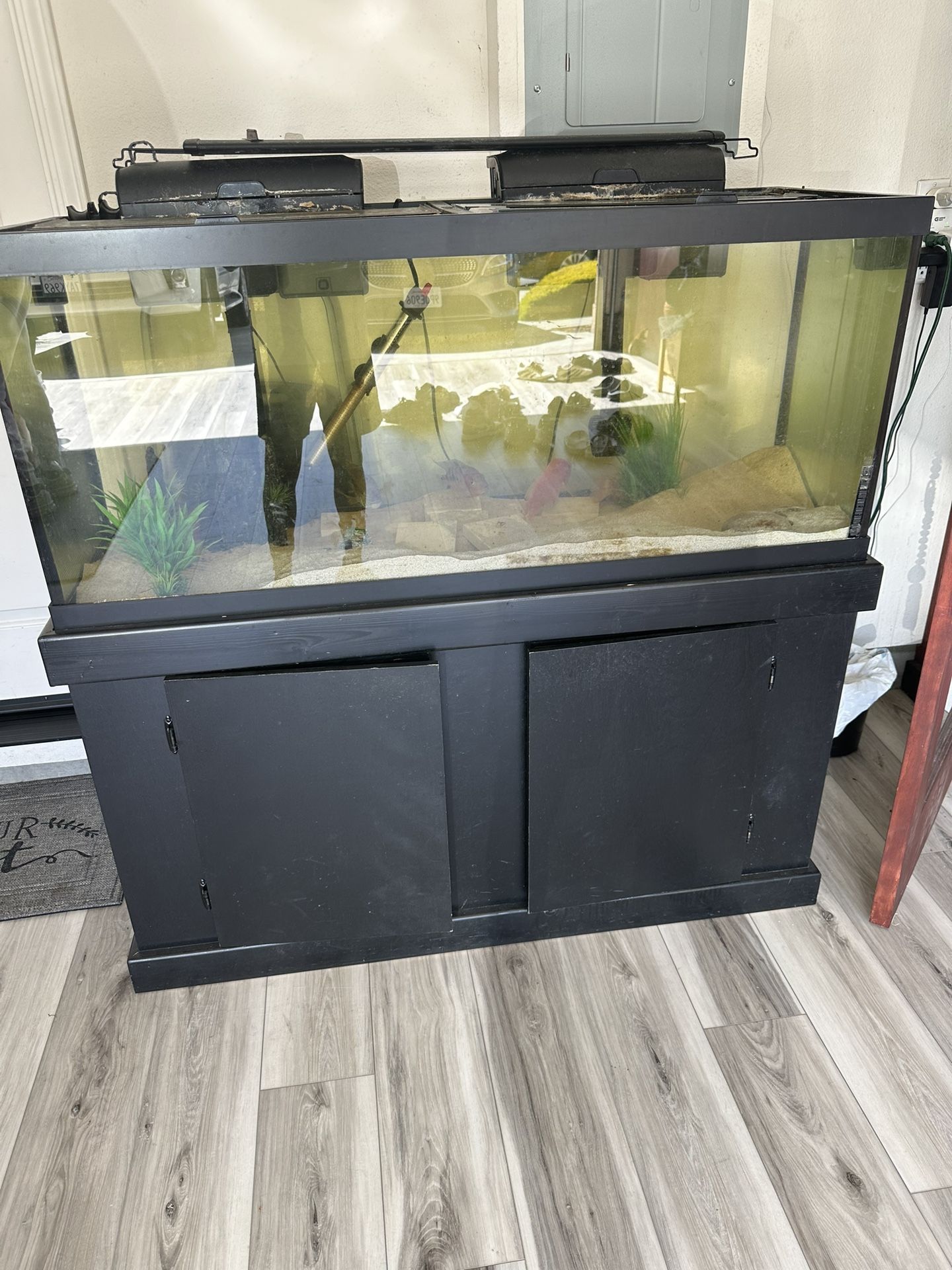 75 Gallon Fish Tank