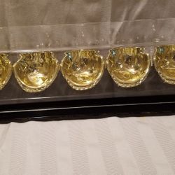 Five baseball case holder