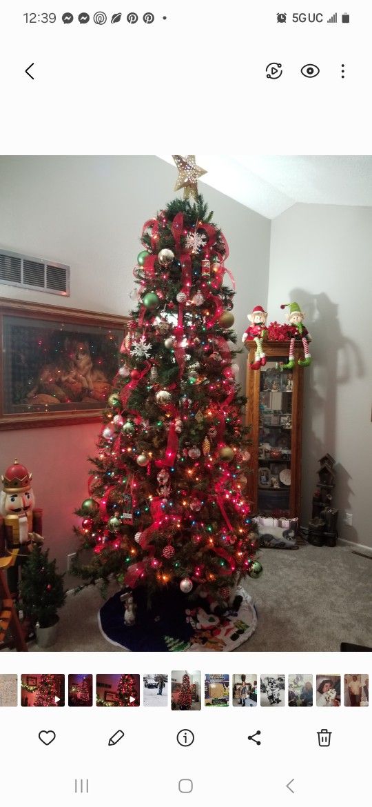 12 Foot Tree