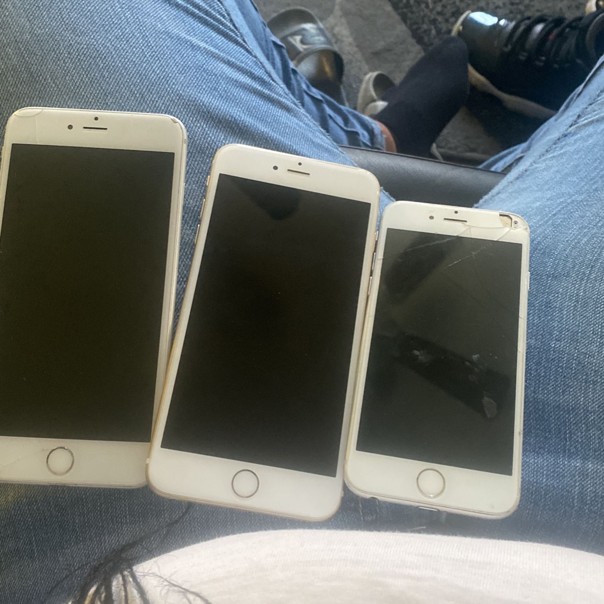 iPhone 6 /plus