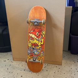 Skate Board