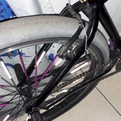 big flyer need it gone 