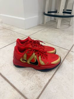 Kobe 5 year of the mamba