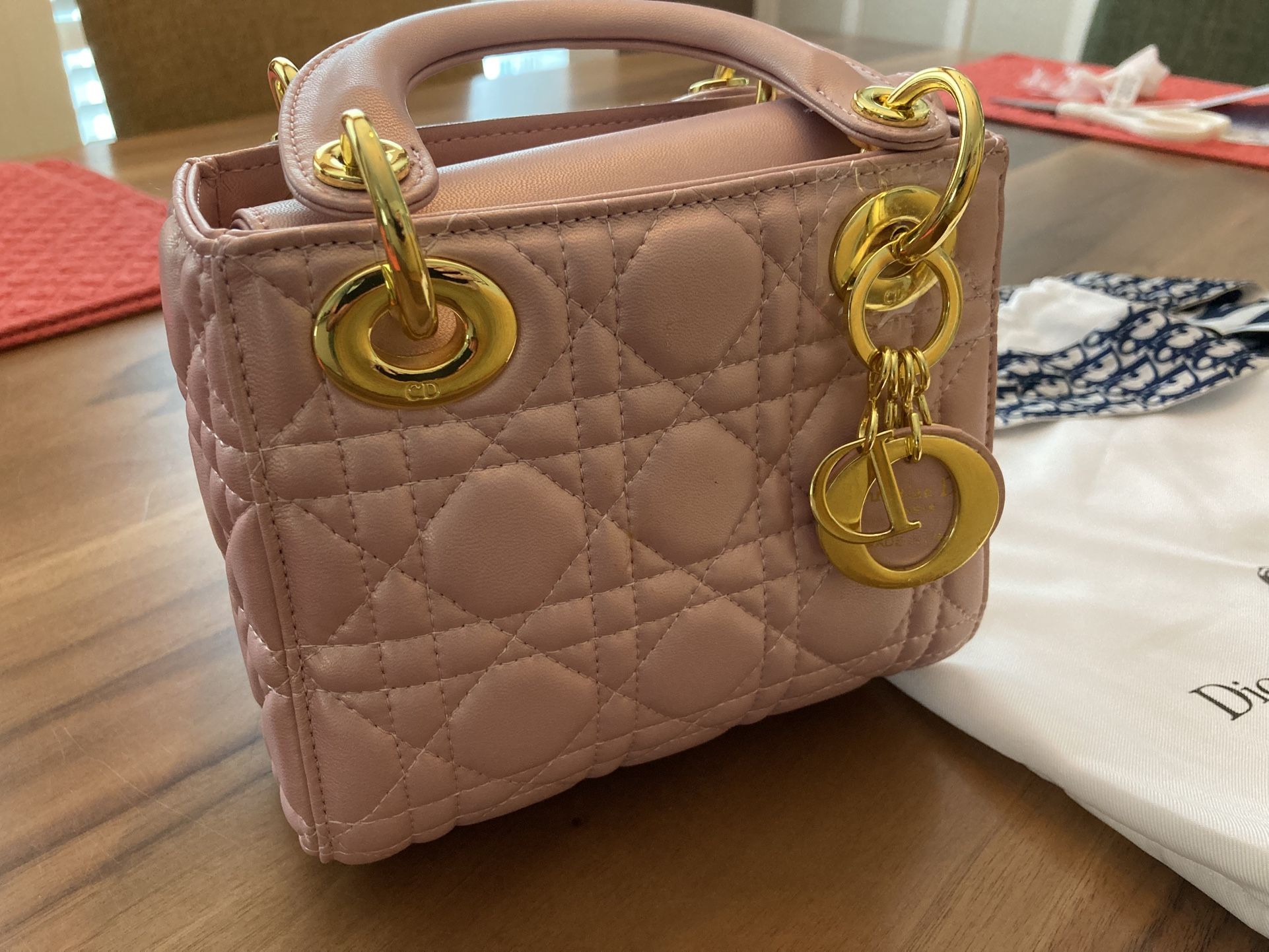 Authentic Dior Mini Handbag – Brand New, Gifted