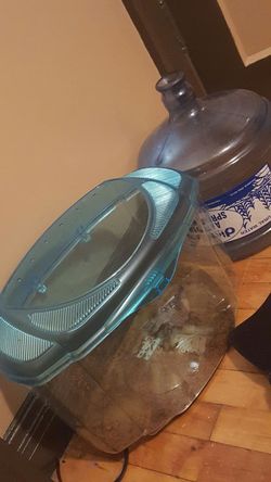 Medium sized tank for critters