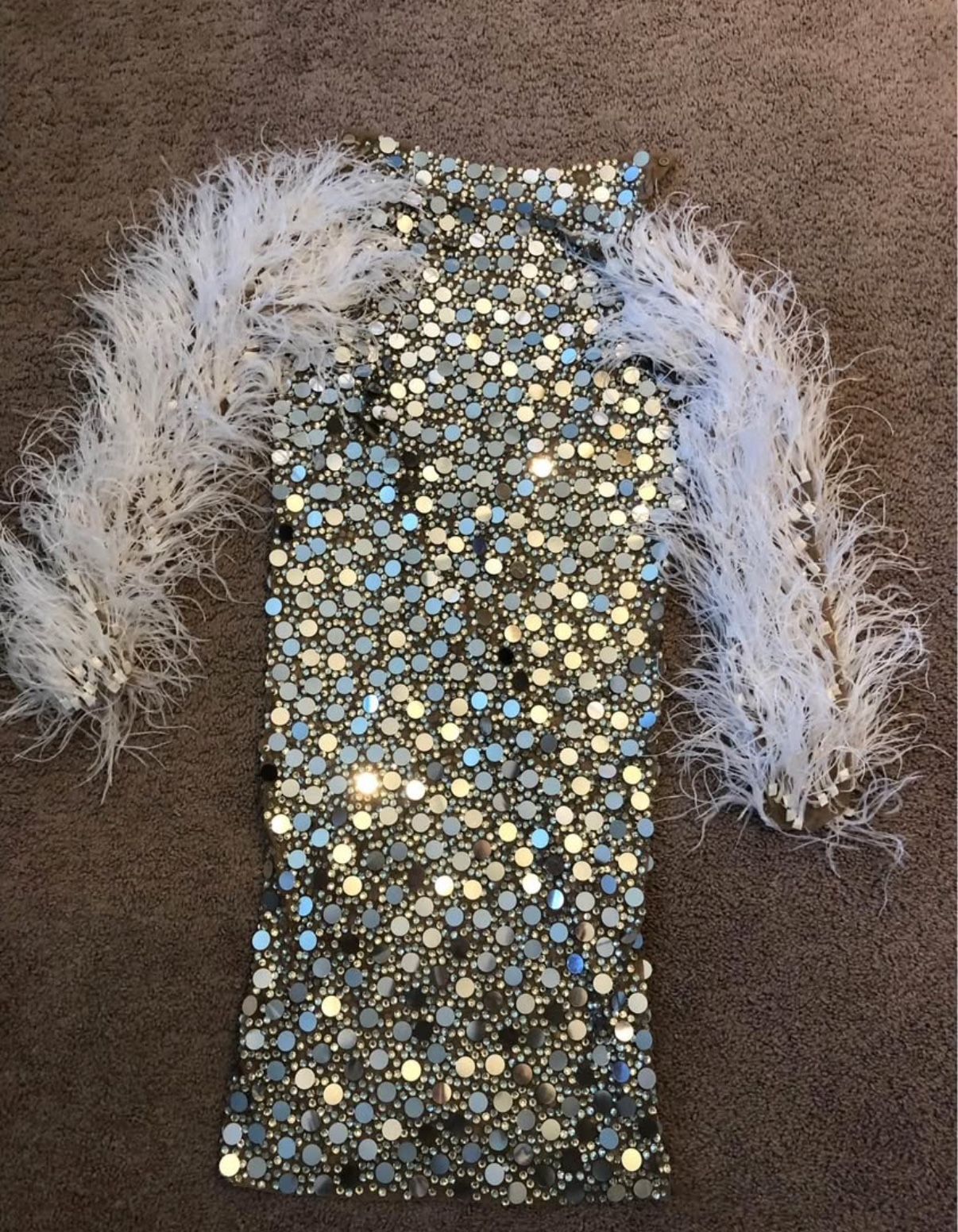 Sequin Dress with Feather Sleeves