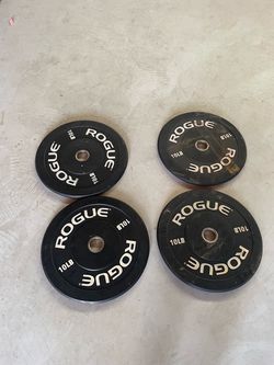 Rogue Echo Bumper Plates 10lb - Set of 4 (40 lbs Total)