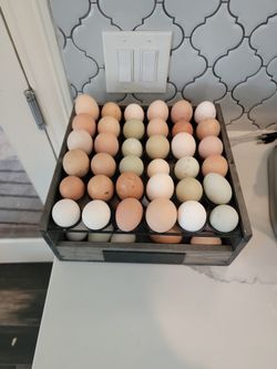 Free Range Chicken Eggs Mckinney 3.50 For A Dozen