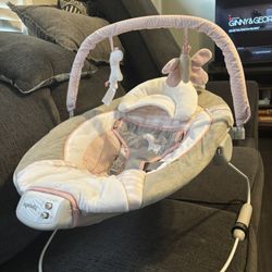 Ingenuity Baby Bouncer