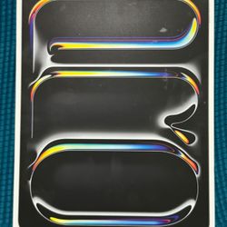 iPad Pro 13inch WiFi And Cellular (256 Gb) 