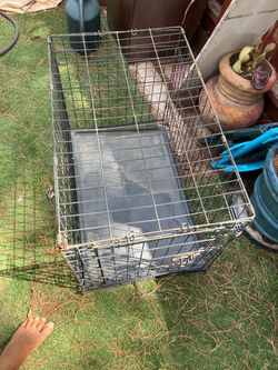 Medium dog crate