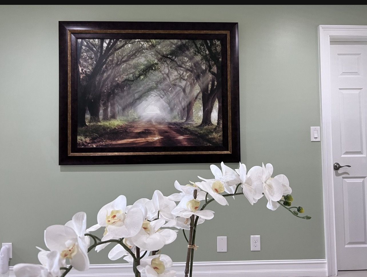 Framed Canvas Wall Art - Evergreen Plantation" artwork by Mike Jones
