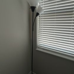 Two of these for $40. One for $25. Living room. Floor lamp