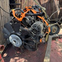 LS 4.8