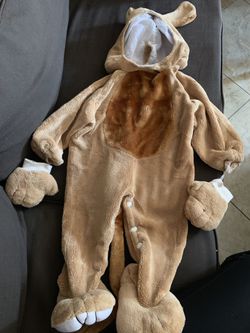 Dog Halloween costume