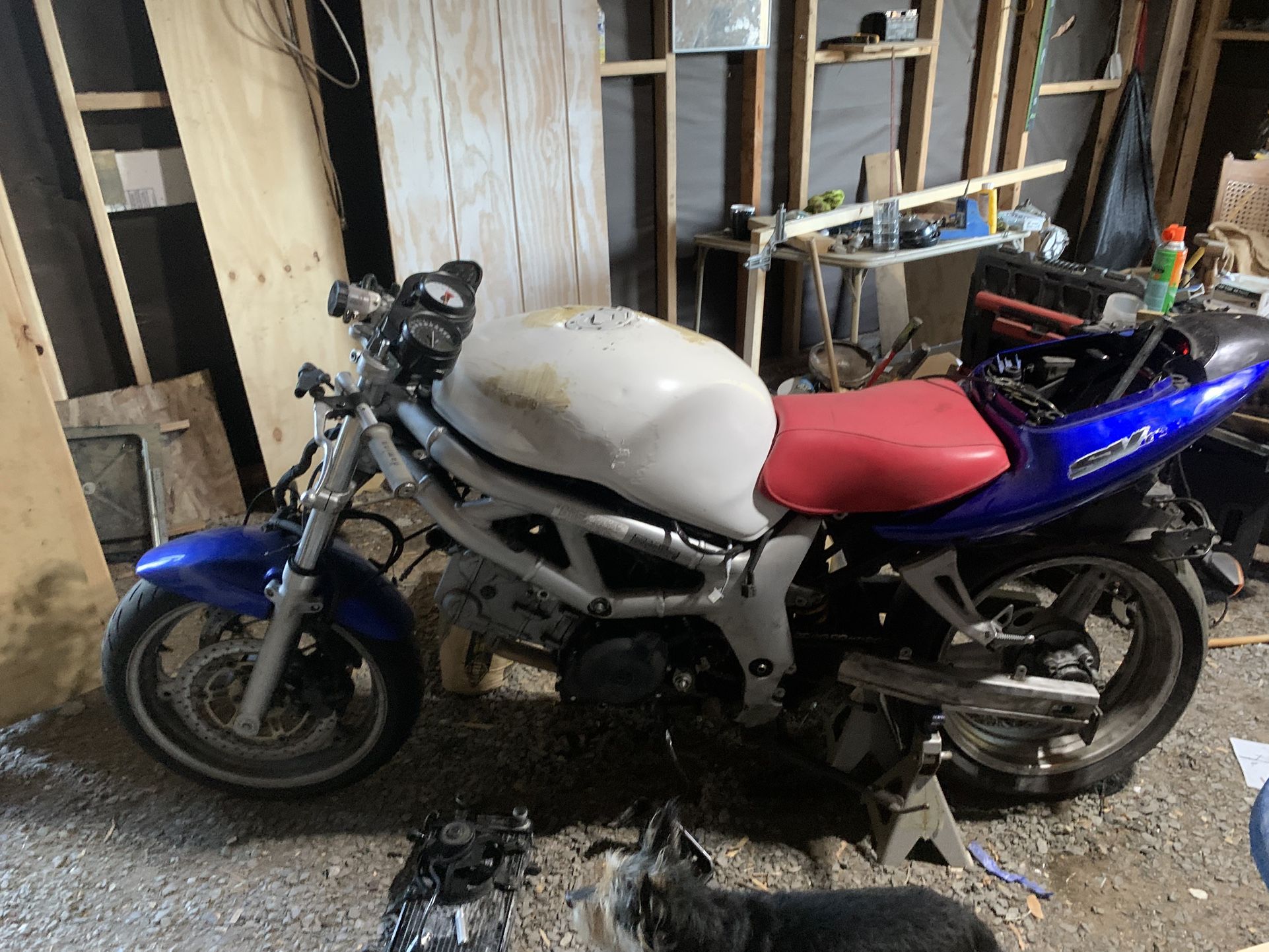 2001 Suzuki SV650S