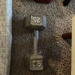 25 Pound Dumbbell