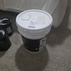 Behr 5 Gallon Shoelace Paint Unused