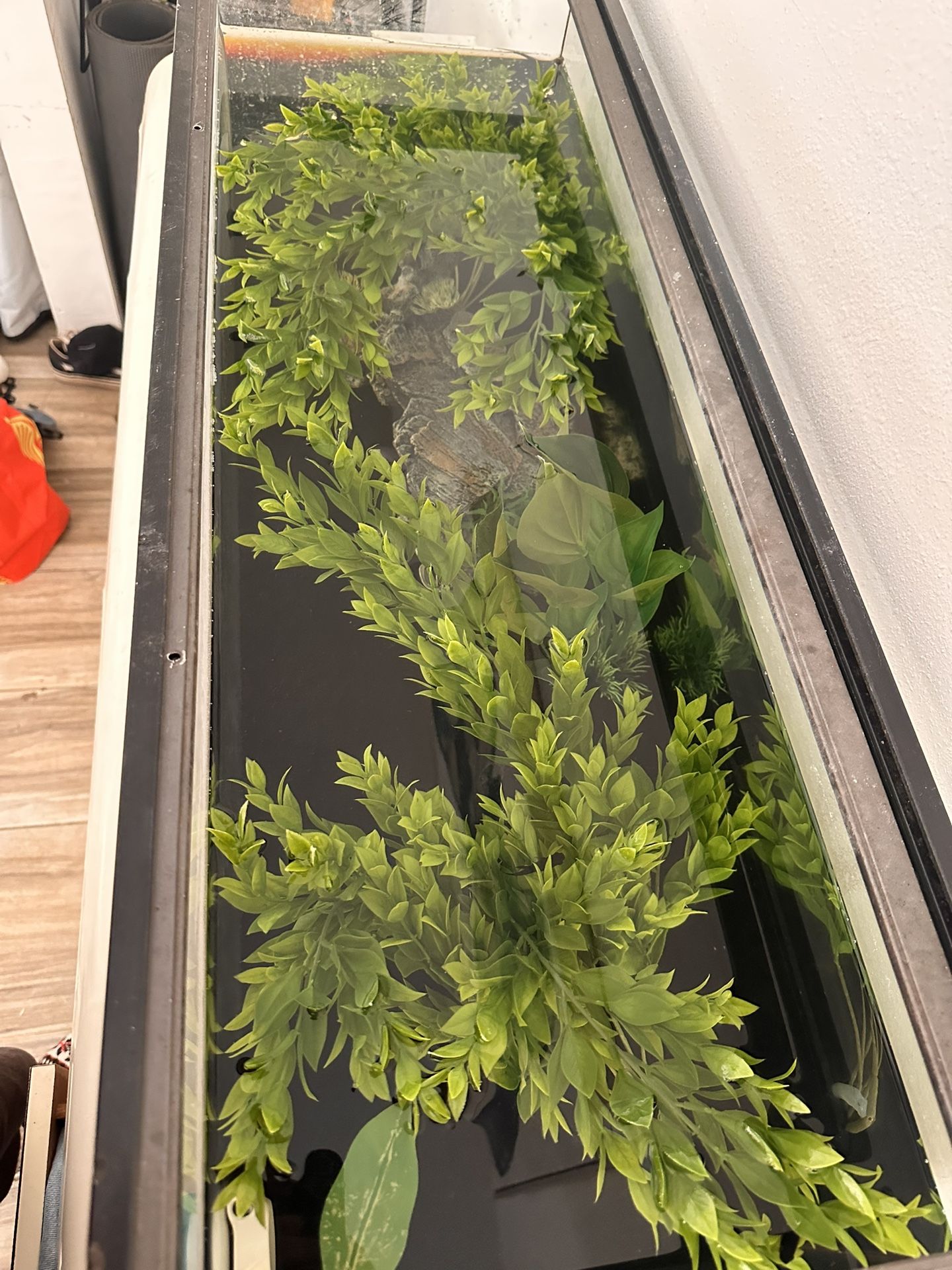 20 Gallon Long Fish tank