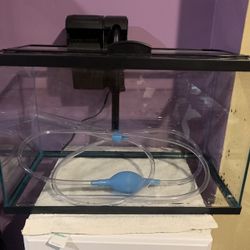 5 Gallon Fish tank Set Up 