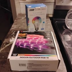 lightbulb and strip RGB LEDs