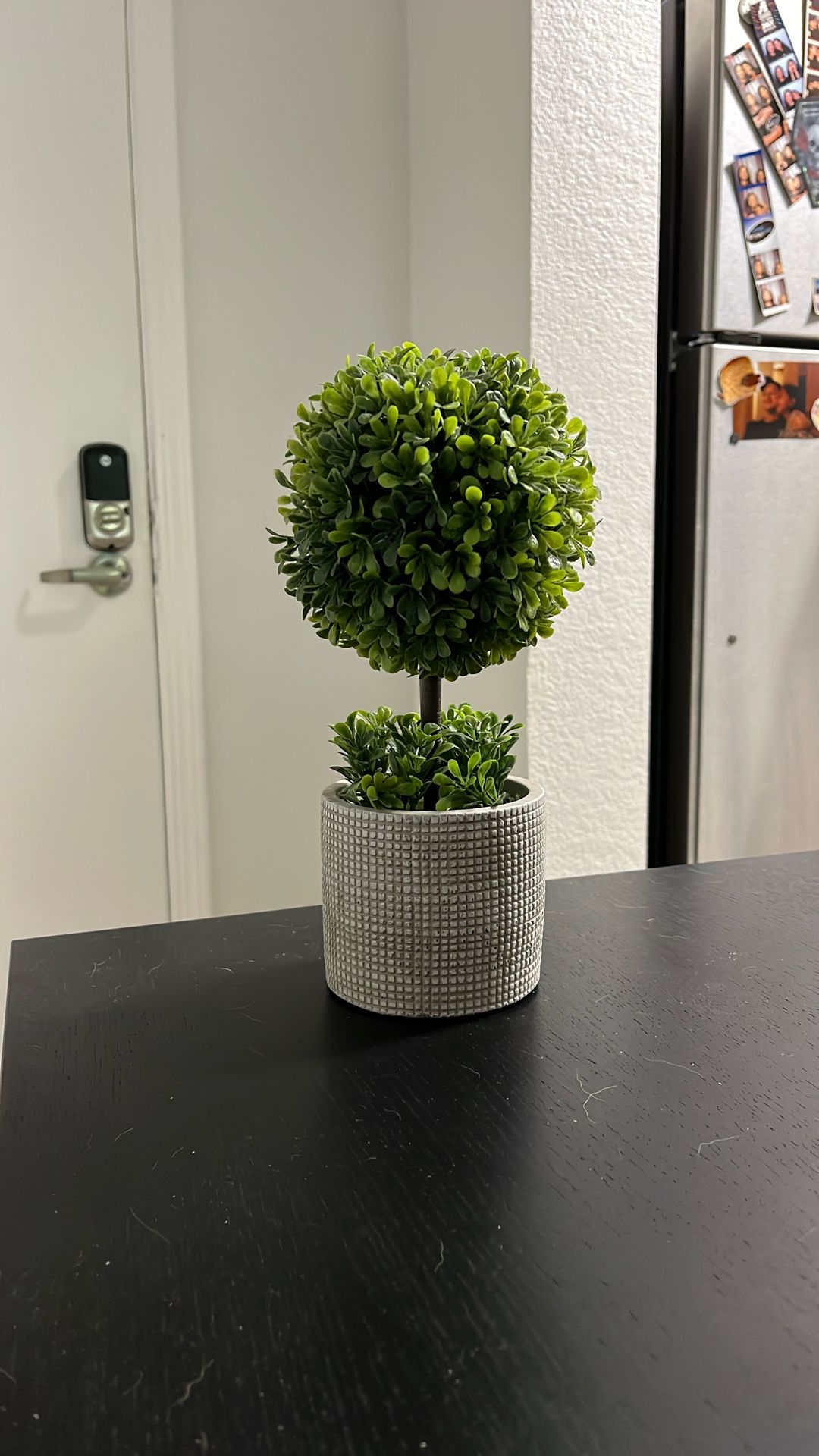 Small Faux Plant