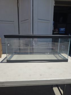 Reptile Terranium