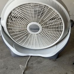 Fan