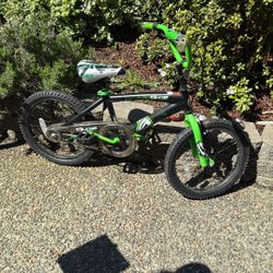 Kids 18” Bike 