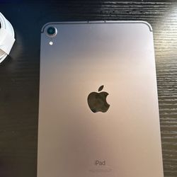 iPad Mini Wifi + Cellular