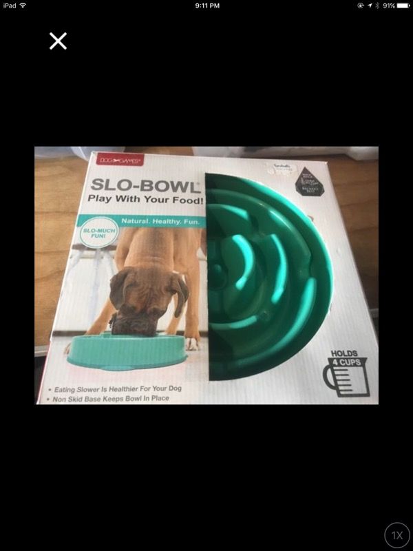 Slow feeder