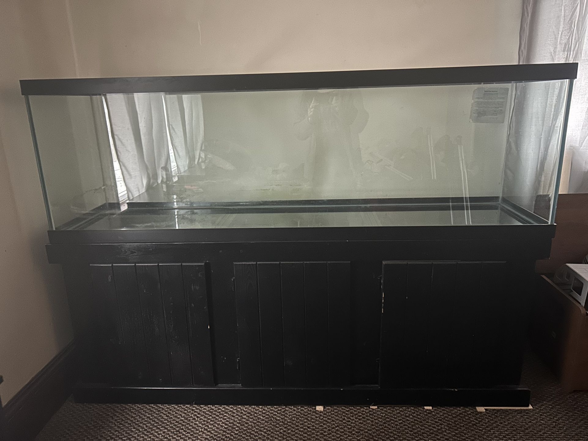 125 Gallon Tank