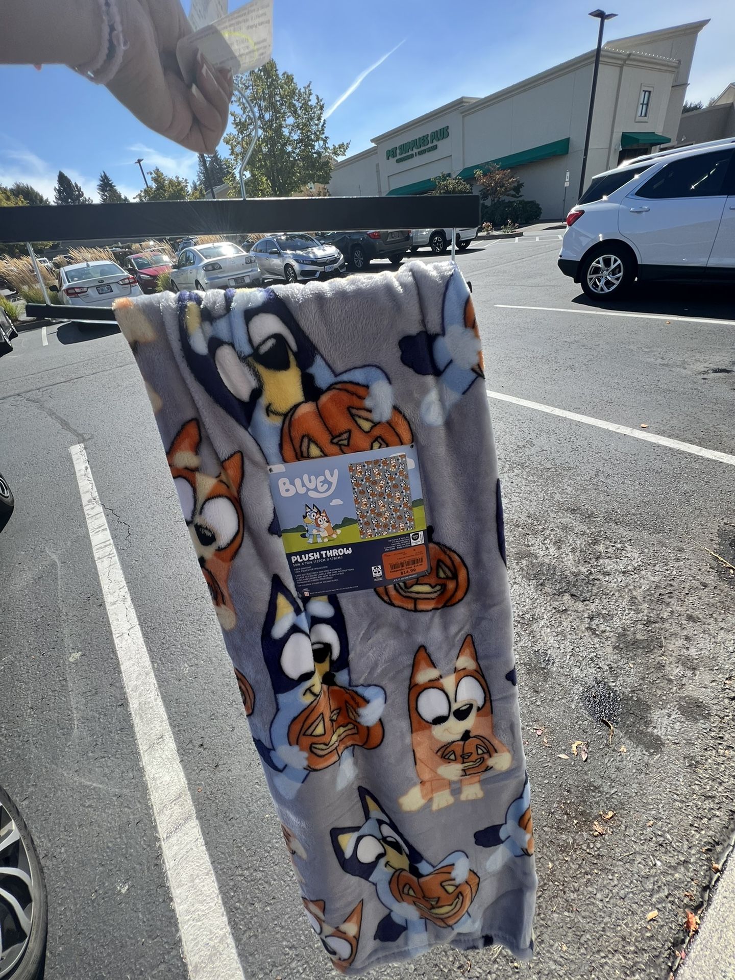 Bluey Halloween blanket!