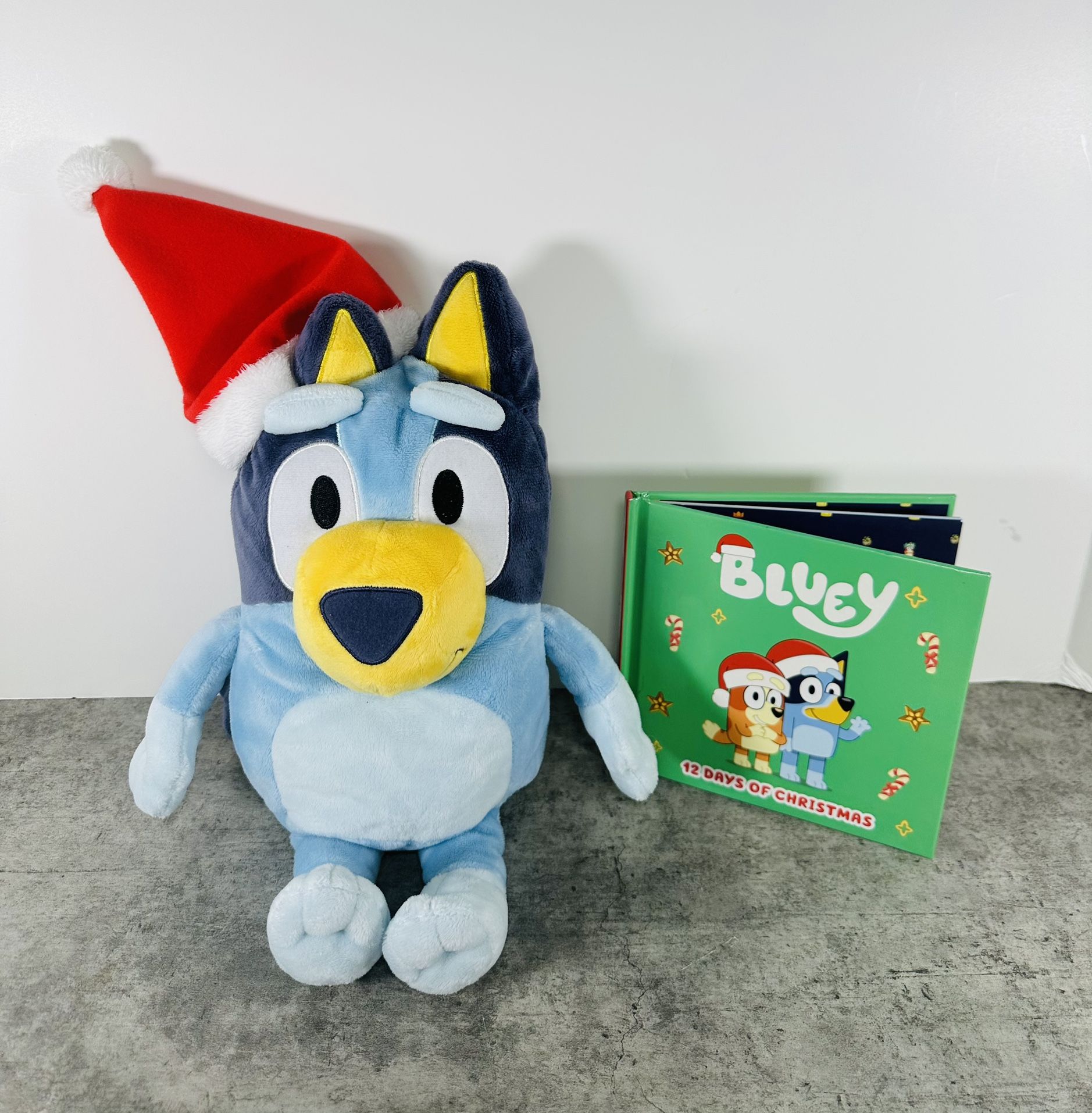Bluey Christmas