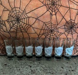 Tequila shot glasses