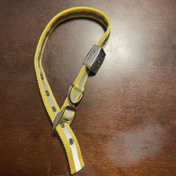 Night Reflective Light Up dog Collar - Medium/Largr