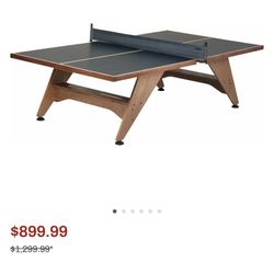 Ping Pong Table