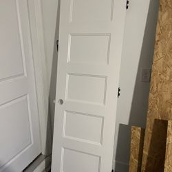 Door  80x24