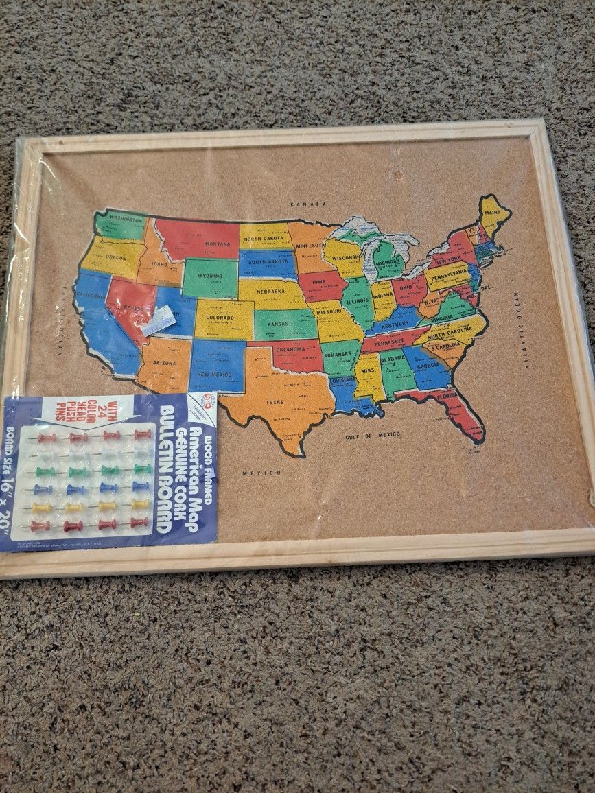 United States Map Peg Board