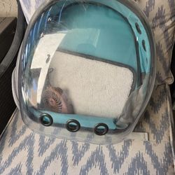 Free Small Pet Carry Bag