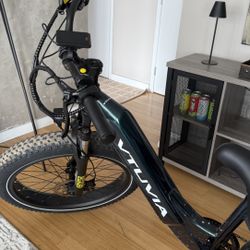 Electric Bike