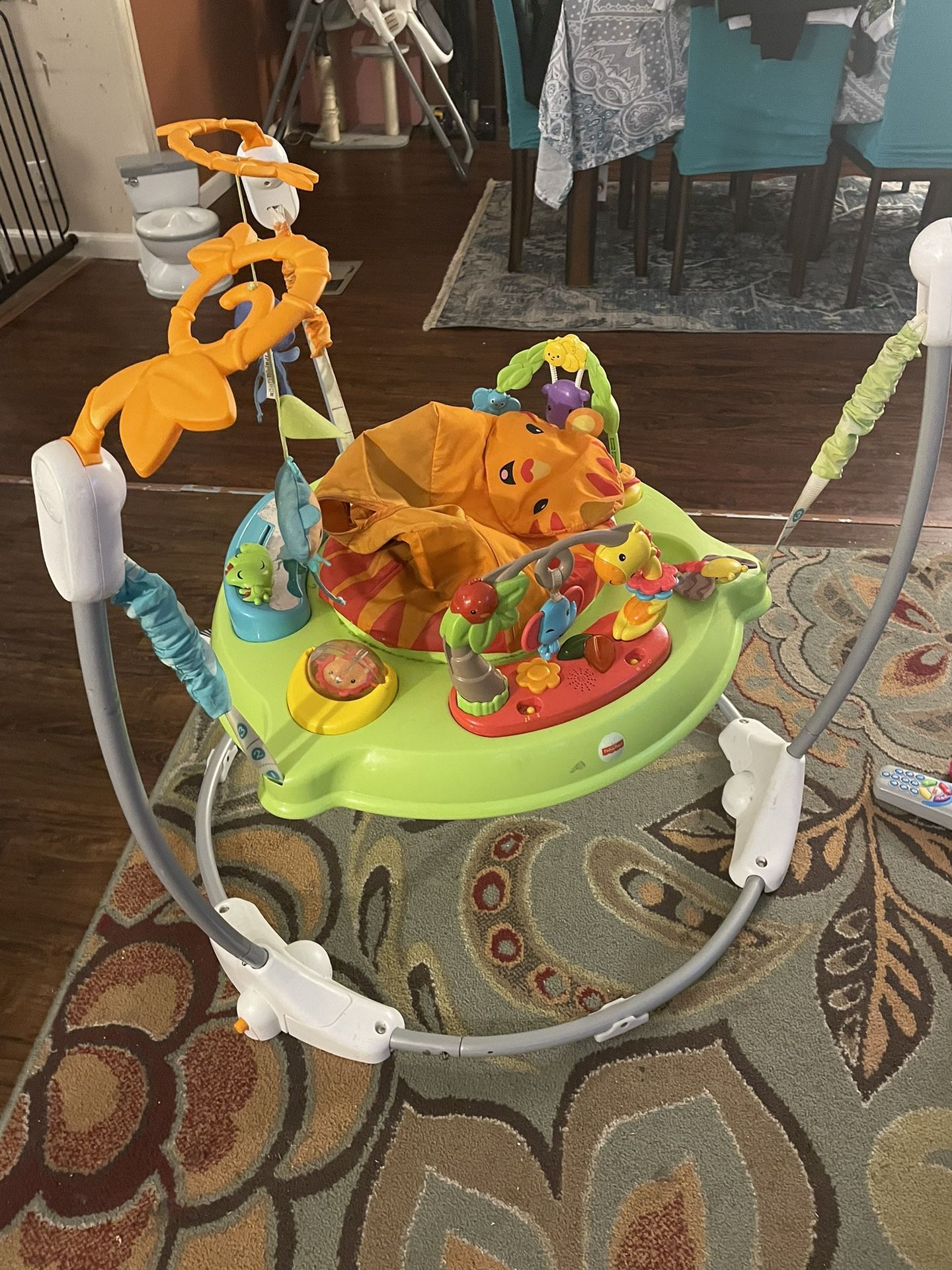 Fisher Price Bouncer