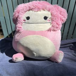 Squishmallow 