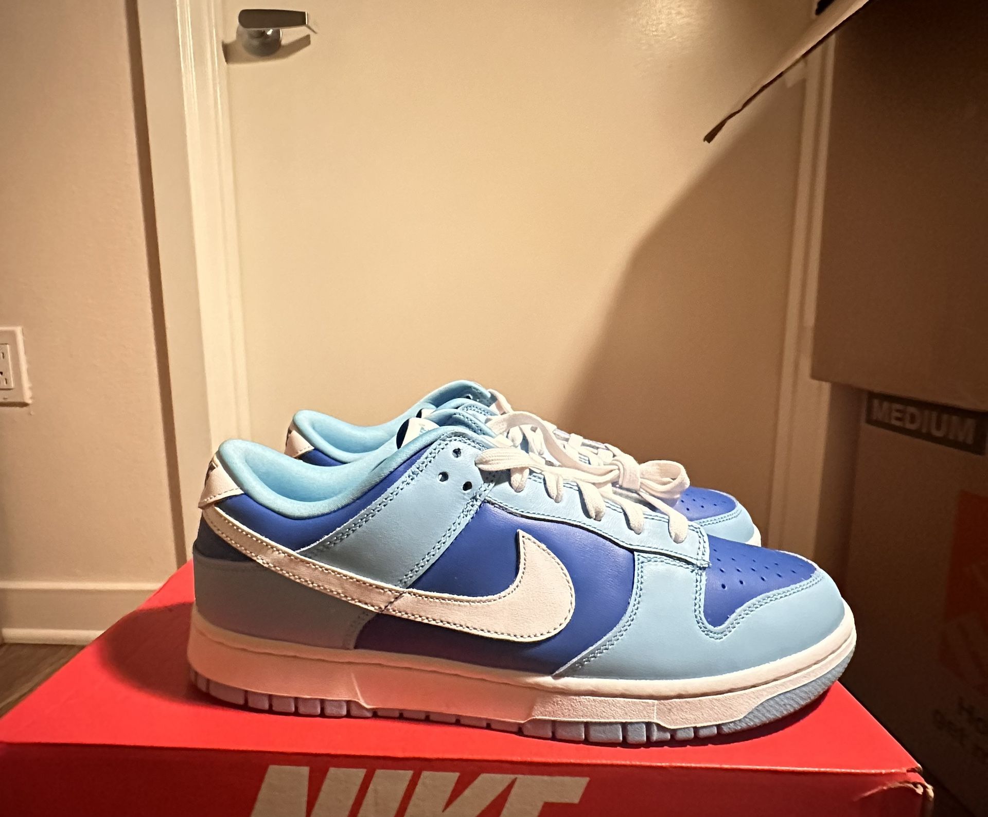 Nike DUNK LOW RETRO QS \