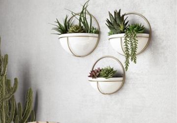Isley Modern Wall Planters (Set of 3)
