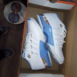 17 Jordan Dunks New Rare Clean Fly Pair Of Shoes 